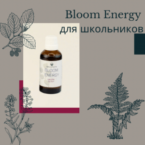 Bloom Energy Школа 50 мл