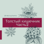 Толстый кишечник: Часть 2 - Производственная аптека NaturaPharma