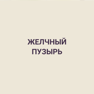 ЖЕЛЧНЫЙ ПУЗЫРЬ