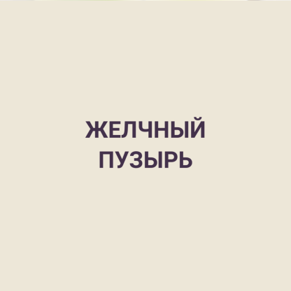 ЖЕЛЧНЫЙ ПУЗЫРЬ