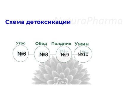 КУРС ДЕТОКСИКАЦИИ СОЛЯМИ ШЮССЛЕРА — ИЗОБРАЖЕНИЕ 2